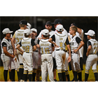 Vidor Youth Baseball League